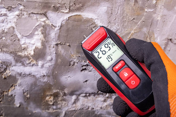 Best Bathroom Mold Remediation in Bargaintown, NJ